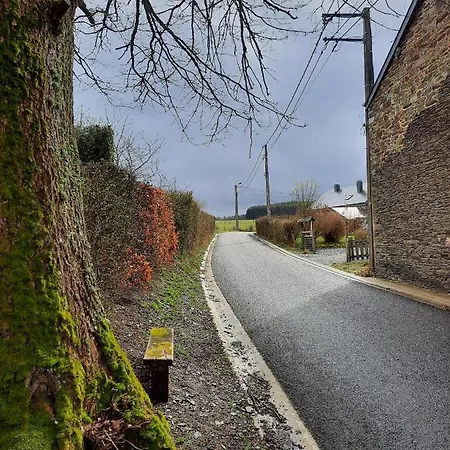 L'olivier à Filly - Nadrin, Entre Et La Roche-en-ardenne * Houffalize