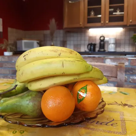 L'olivier à Filly - Nadrin, Entre Et La Roche-en-ardenne