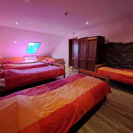 L'olivier A Filly - Nadrin, Entre Et La Roche-en-ardenne