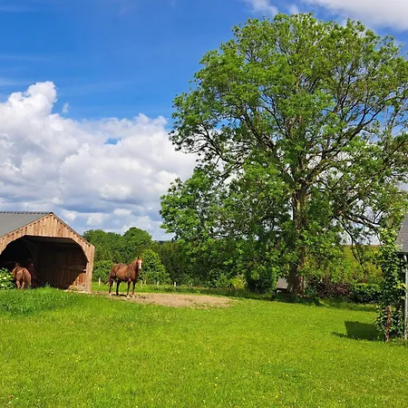 Hébergement de vacances L'olivier à Filly - Nadrin, Entre Et La Roche-en-ardenne Houffalize