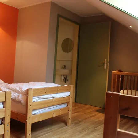 L'olivier à Filly - Nadrin, Entre Et La Roche-en-ardenne