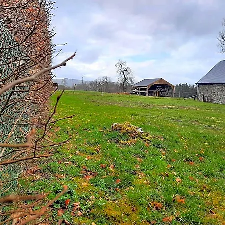 L'olivier A Filly - Nadrin, Entre Et La Roche-en-ardenne *
